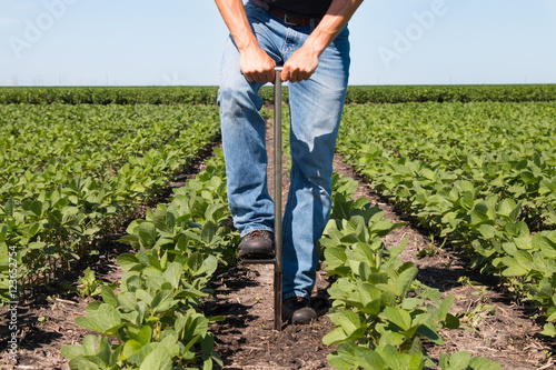 Agronomist Using a Tablet in an Agricultural Field photo
