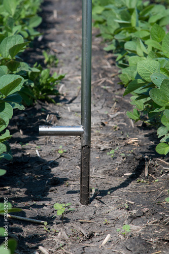 Agronomist Using a Tablet in an Agricultural Field