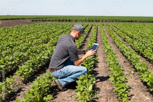 Agronomist Using a Tablet in an Agricultural Field
