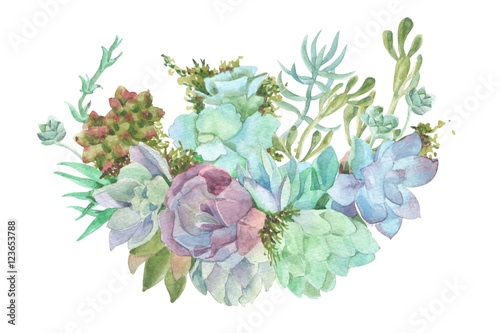 Fototapeta Naklejka Na Ścianę i Meble -  watercolor flowers succulents