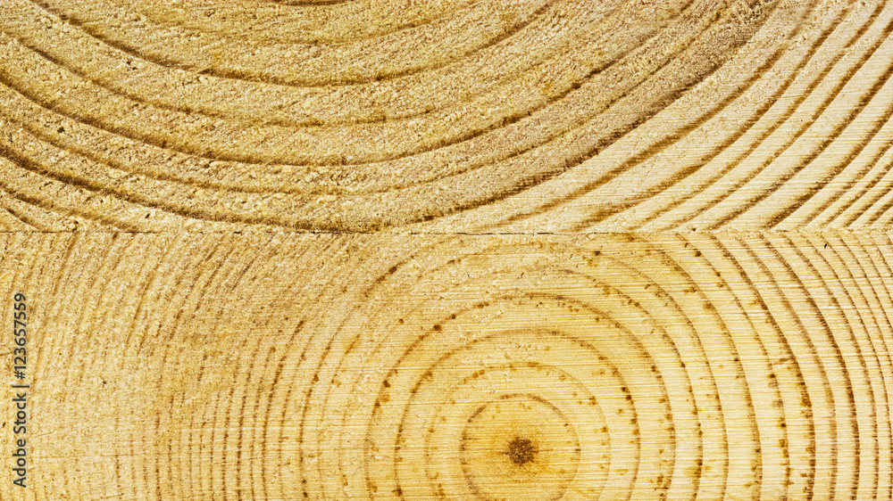 Fototapeta premium Wooden pieces with light grey background