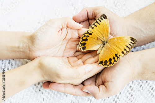 Butterfly and Hands