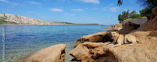 Urlaub mit Hund auf der Insel Rab photo