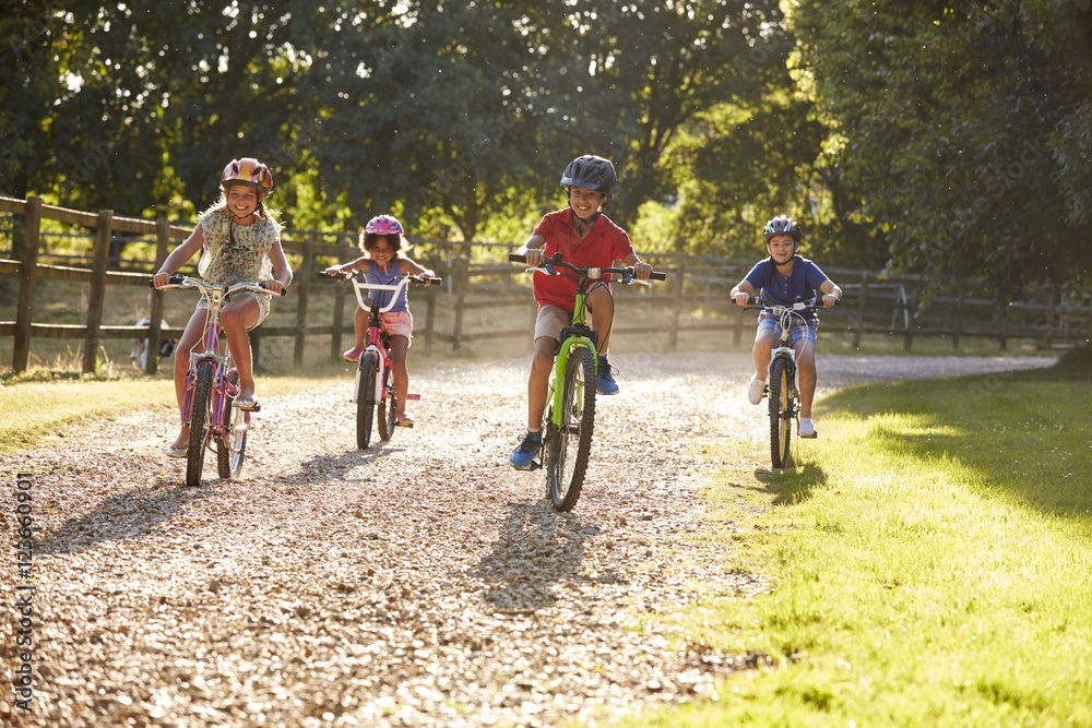 Fototapeta premium Four Children On Cycle Ride In Countryside Together