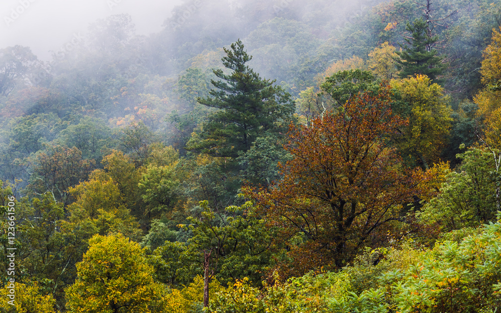 Beginning of the fall season in Shenandoah mountains
