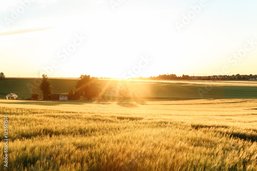 Goldener Sonnenuntergang, Feld, Spaziergang, Lichtstrahlen, Horizont  © S.Hoss