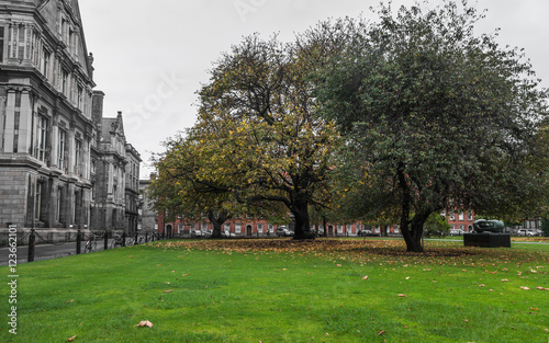Rainy autumn day in the Park of Trinity College, Dublin, Ireland
