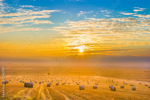 Straw bales on agricultural field during sunrise