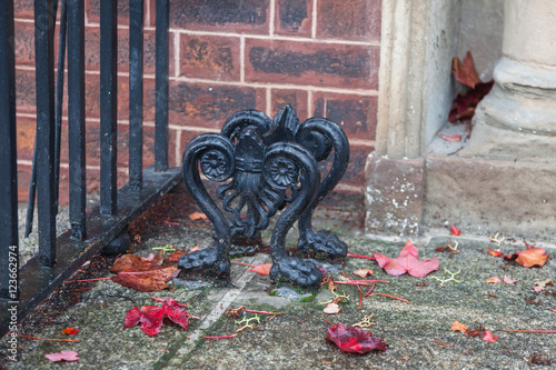 Autumn fallen leaves. October, Dublin, Ireland. photo