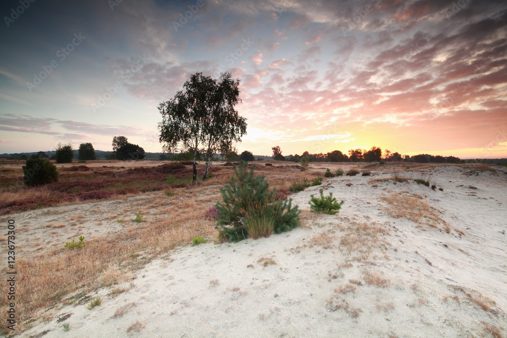 dramatic sunrise on sand dune dramatic sunrise on sand dune