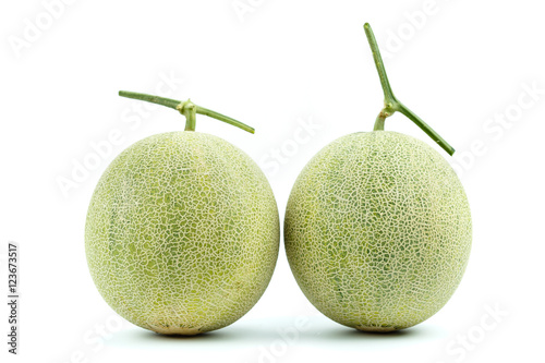 Melon