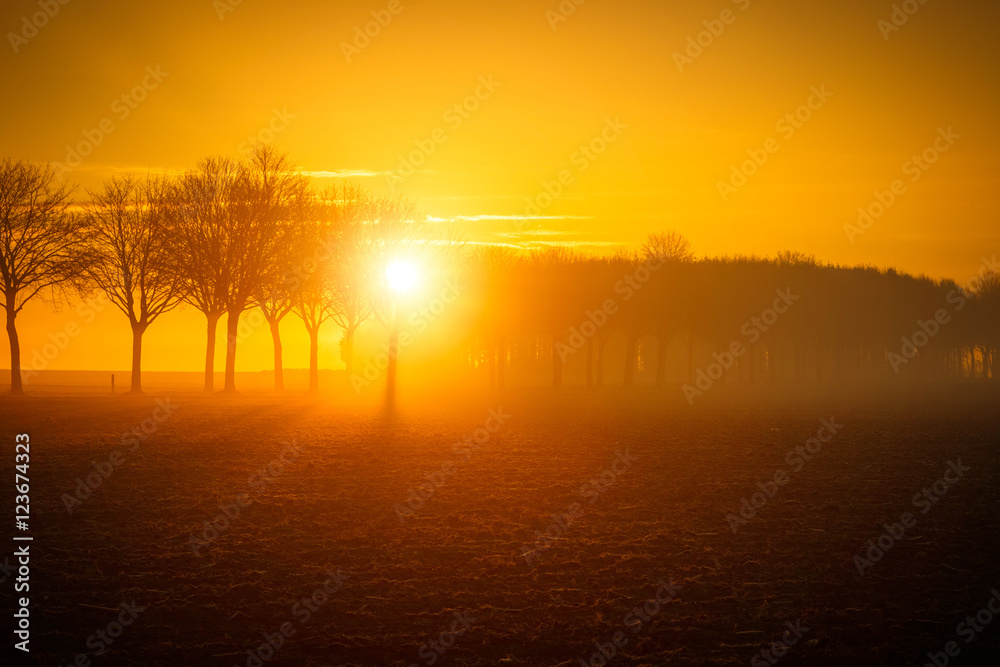 Sonnenaufgang im Nebel