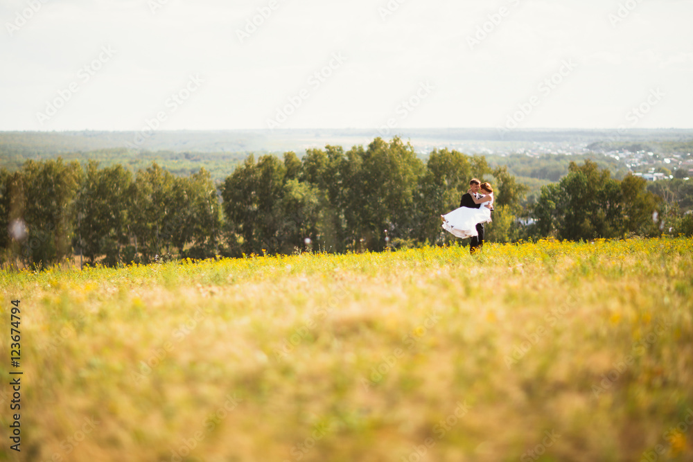 couple bride and groom on field background couple bride and groom on field background