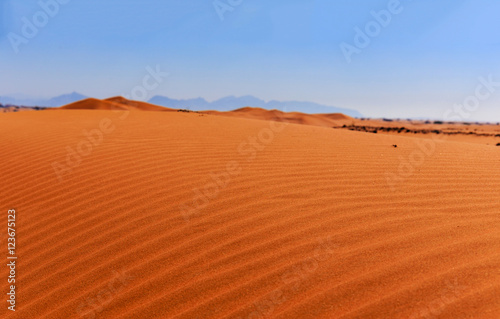 Fototapeta Naklejka Na Ścianę i Meble -  Red sand in the Arabian desert
