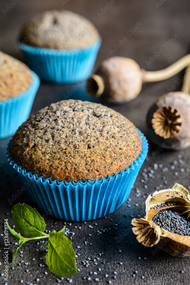 Homemade healthy muffins with poppy seeds Homemade healthy muffins with poppy seeds