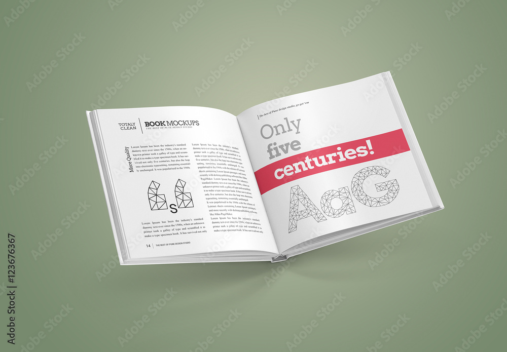 Square Book Mockup Set Stock Template | Adobe Stock