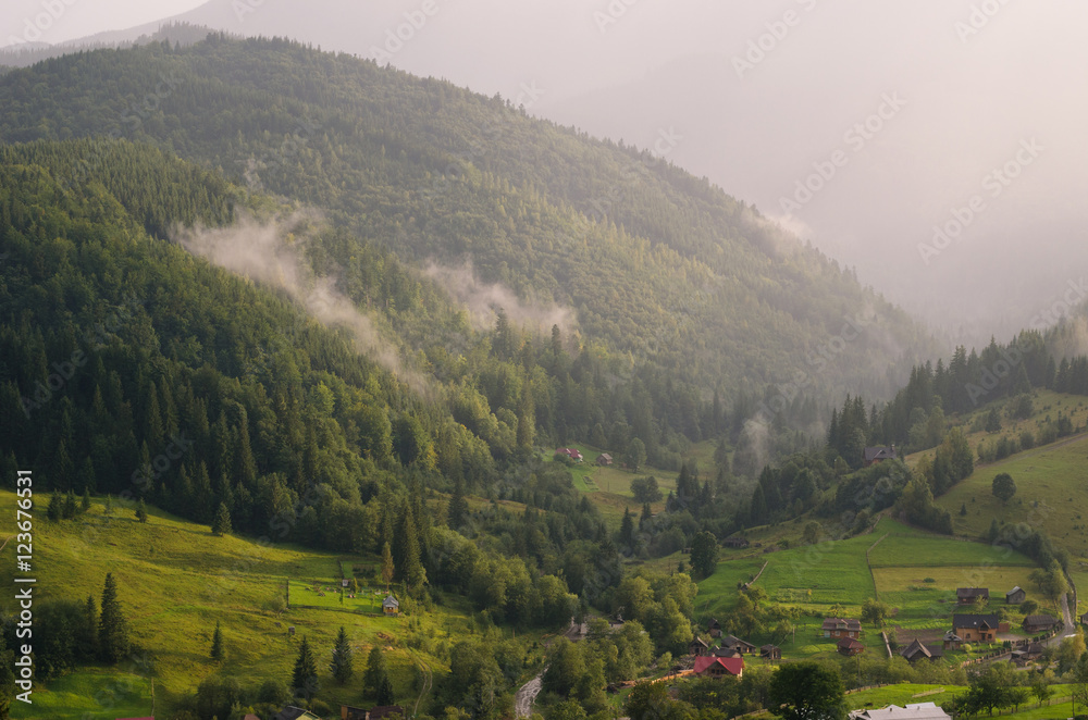 Spruce trees in the morning sunlight. Carpathian mountains with fog. Ukraine