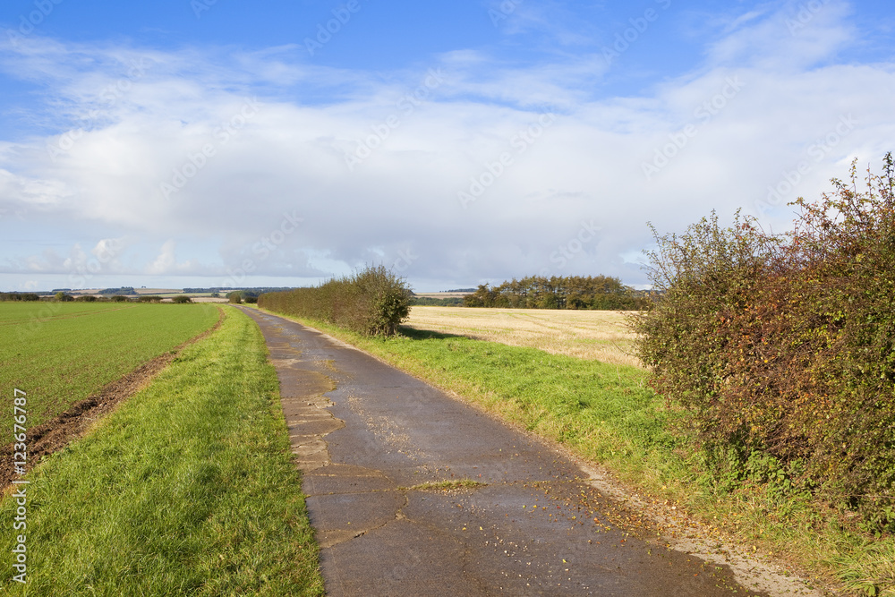 hedgerow gap