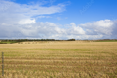 harvested fields