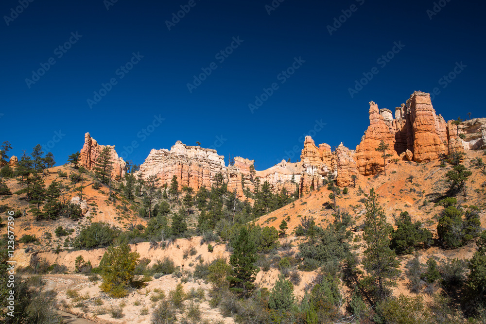 Bryce Canyon in Utah, USA.