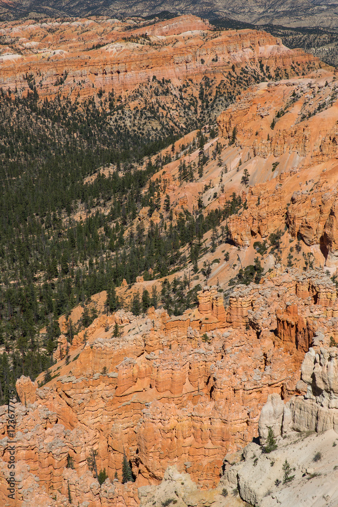 Bryce Canyon in Utah, USA. Bryce Canyon in Utah, USA.