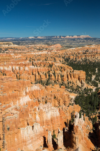 Bryce Canyon in Utah, USA.