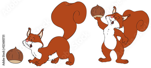 Niedliche Eichhörnchen mit Nuss