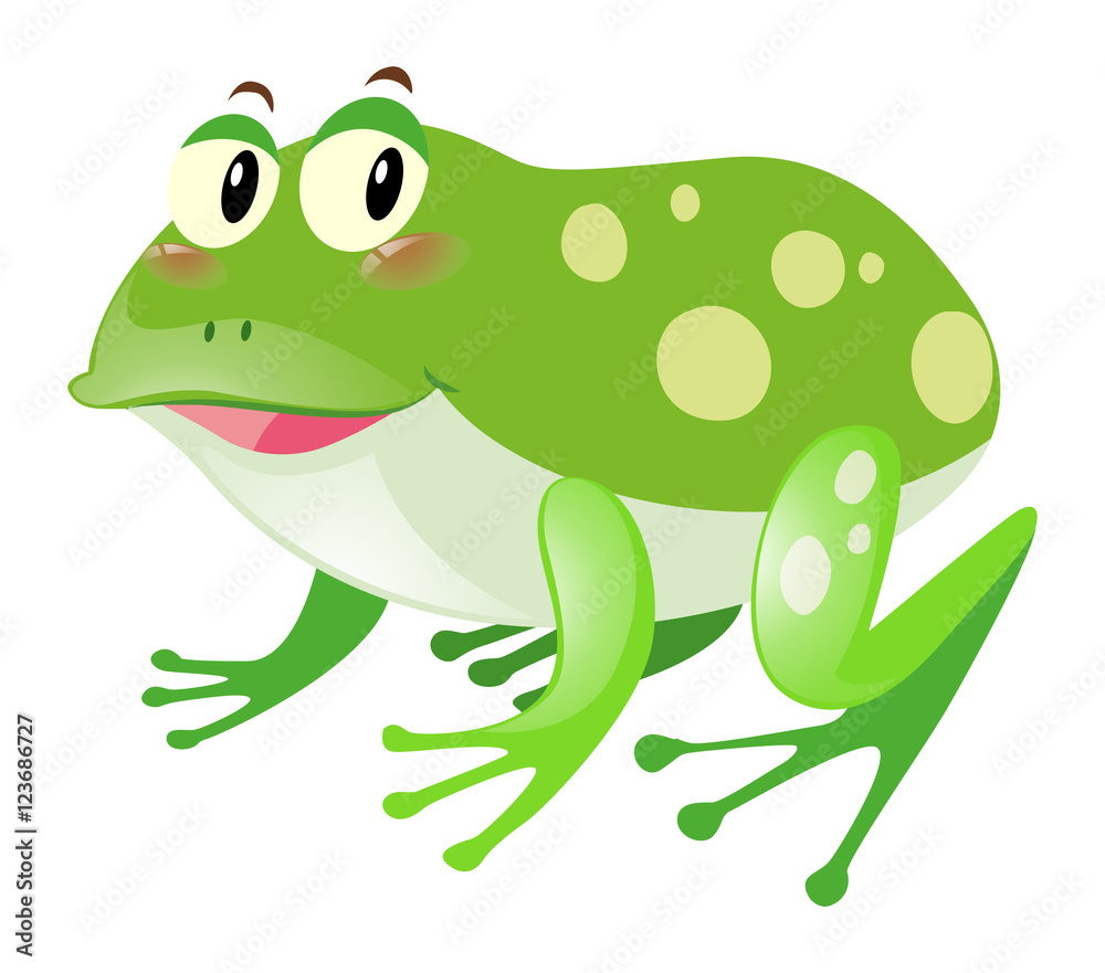 Green frog with happy face Green frog with happy face