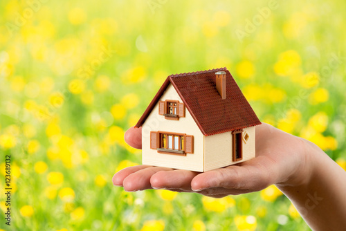 house in the hand, loan concept, yellow meadow background