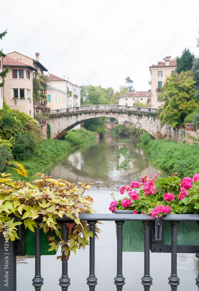 Flowered vase of geraniums in the balcony of San Paolo bridge and the old stone San Michele bridge in the background, Vicenza, Italy