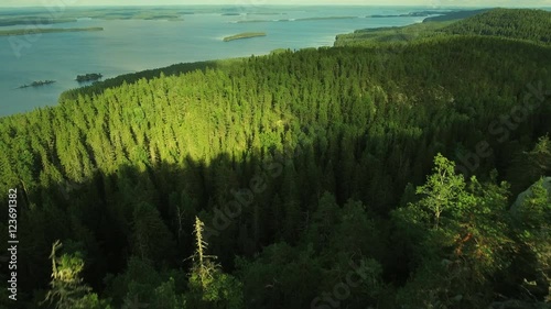 Aerial Shot of Mountains Covered with Pine Forest in Northern Europe