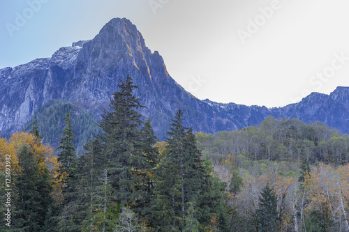 Mt Index