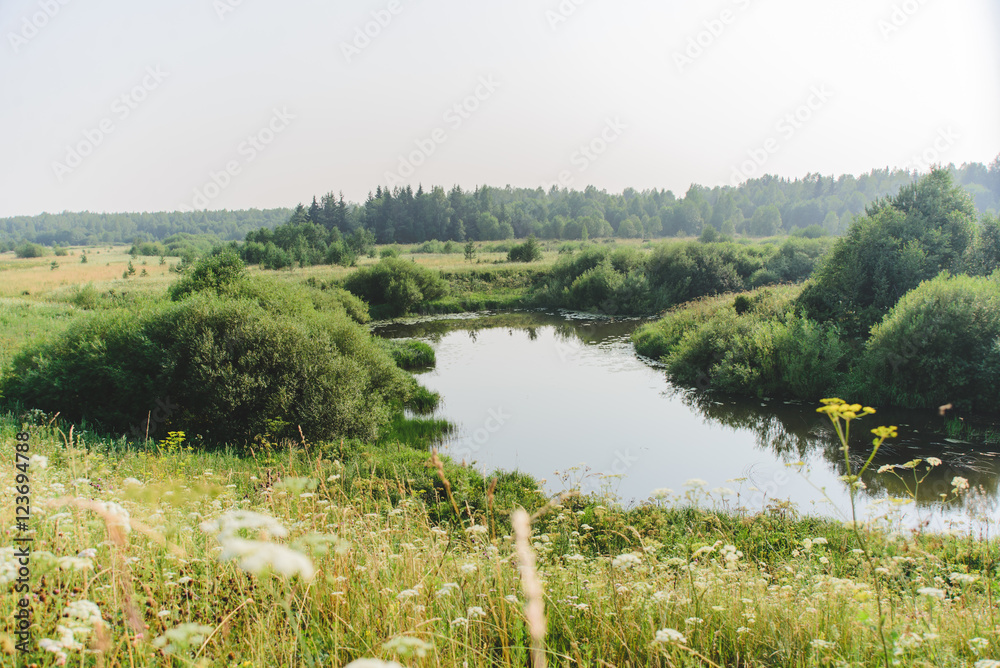 landscape plains river on the forest background