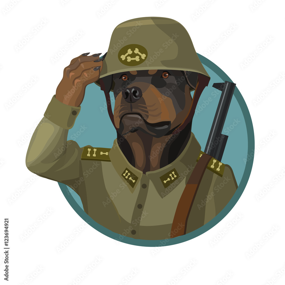 Soldier Rottweiler Dog Rottweiler loyal soldier/ Dog Rottweiler loyal soldier who performs ...