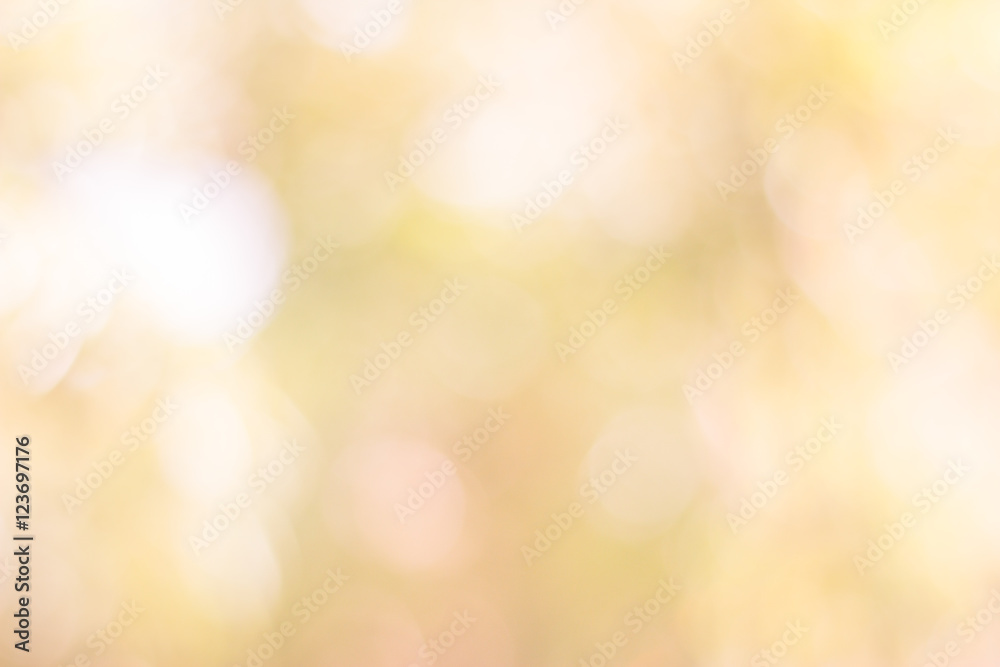 bokeh blur bokeh blur