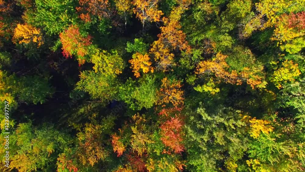 Aerial view of breathtaking autumn colors, aerial flyover view.
Aerial view of breathtaking autumn colors, aerial flyover view.