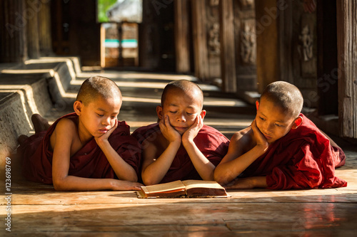 Novice monks are reading book photo