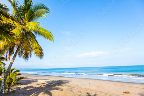 Fototapeta Naklejka Na Ścianę i Meble -  Beach with palm trees