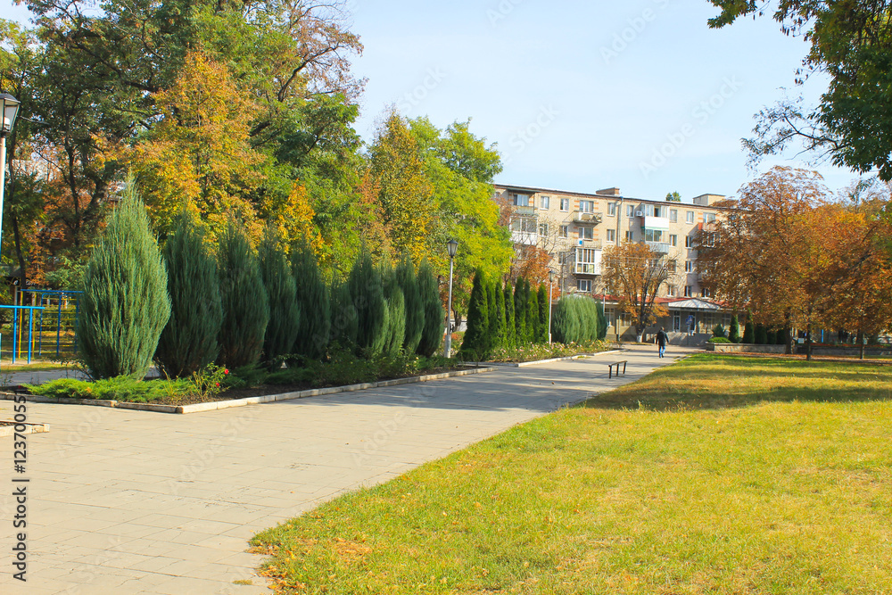 Obraz premium Beautiful trees in city park