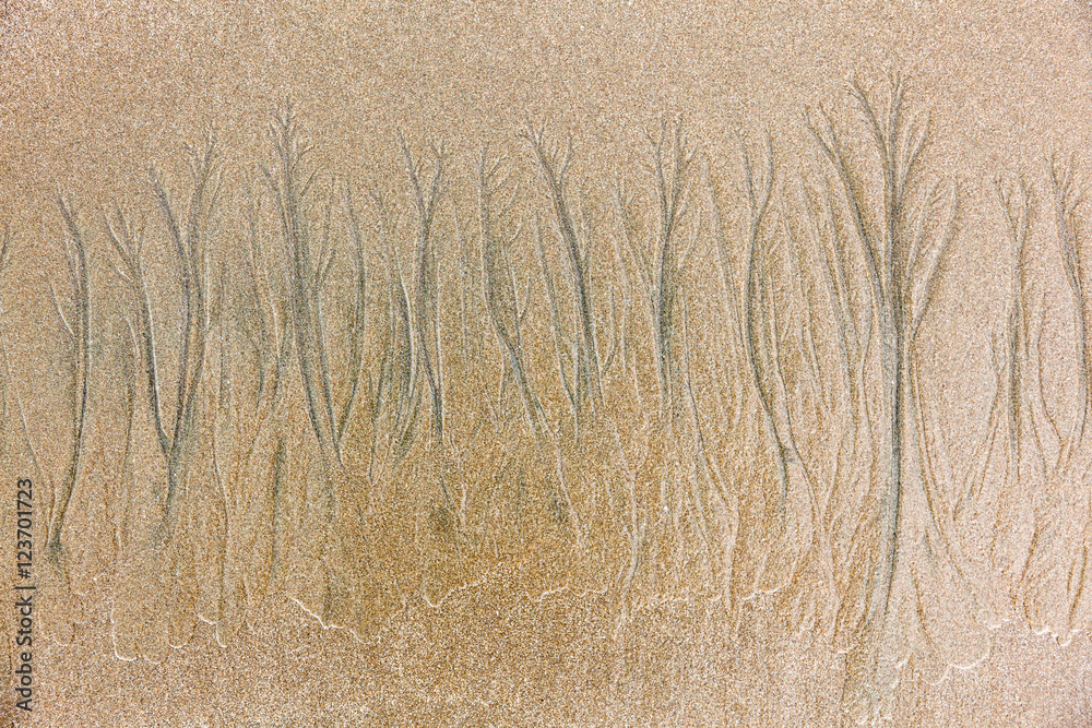 Fototapeta premium Texture formed by erosion