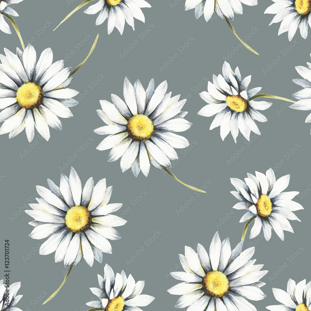 Seamless pattern with chamomiles. Watercolor illustration.