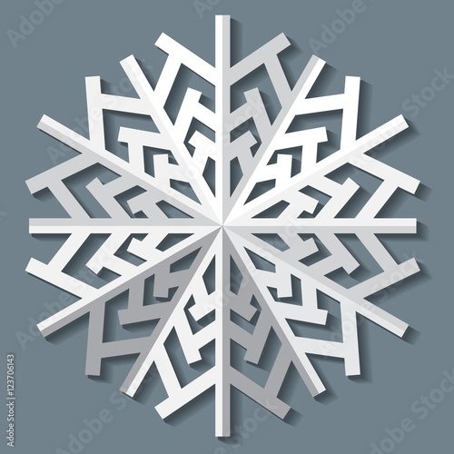 Decorative abstract snowflake. Paper snowflaker. Winter snowflaker. Christmas snowflaker. Vector illustration photo