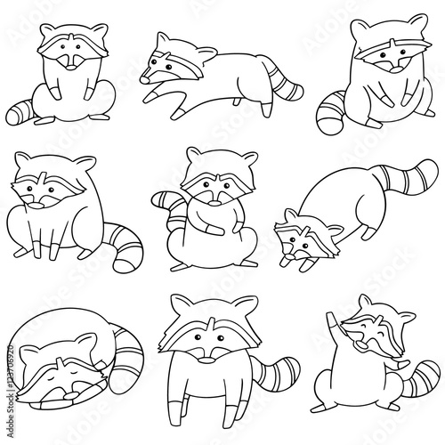 vector set of raccoon