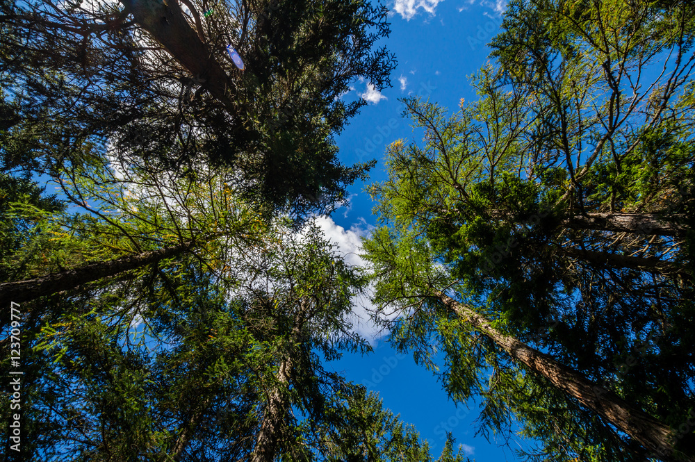 Obraz premium Südtirol