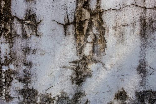 Concrete wall of the panel cement, on all background