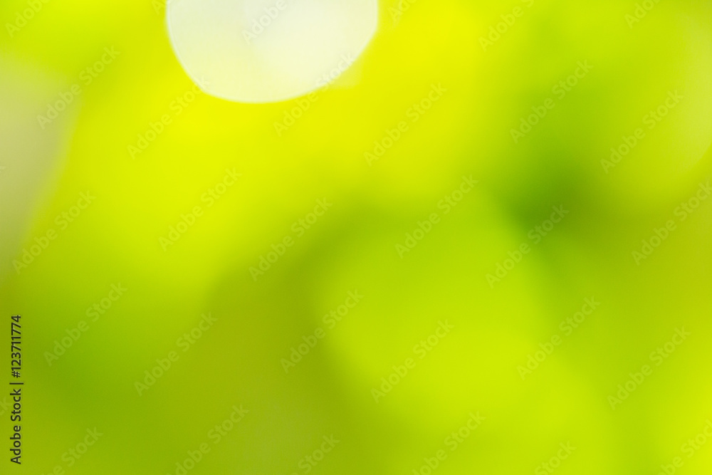 background of color bokeh