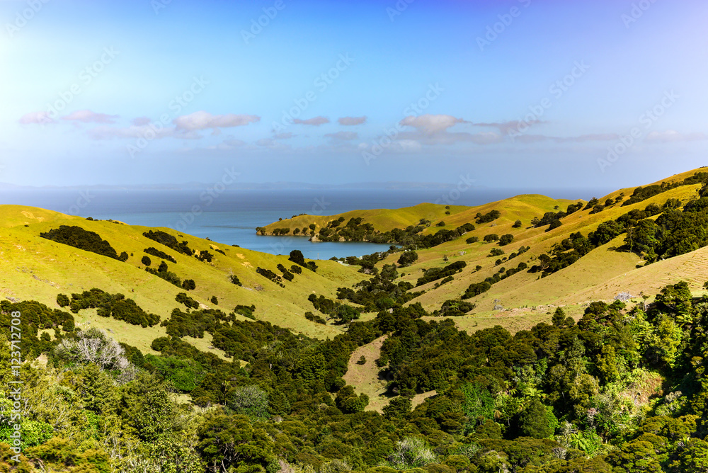 Obraz premium Coromandel peninsula near cathedral cove beach