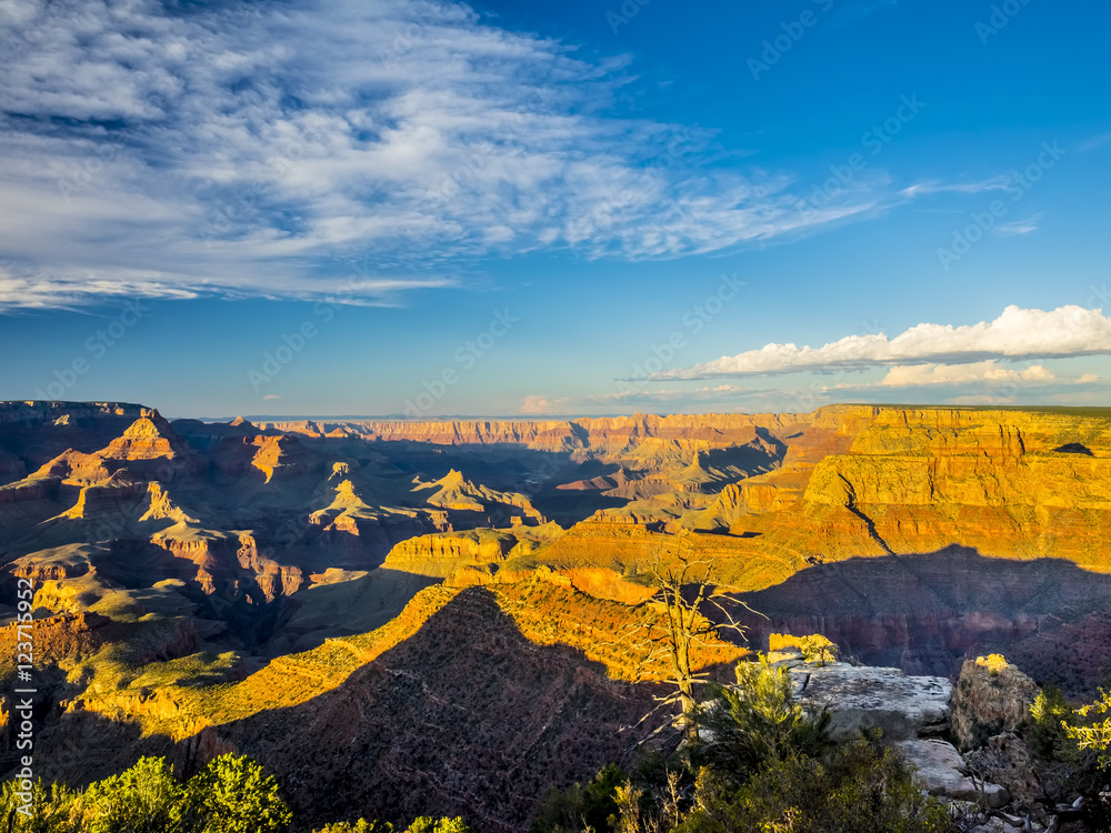 Obraz premium morning light at Grand Canyon, Arizona, USA