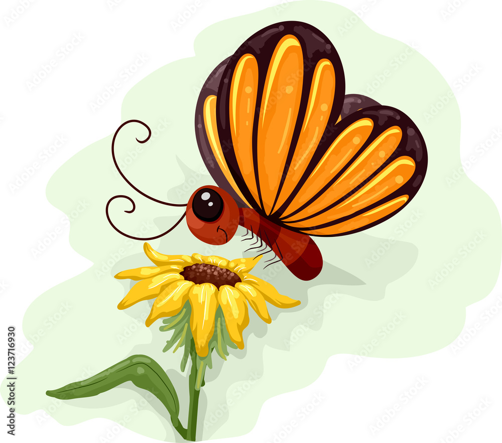 Butterfly Flower Pollination Butterfly Flower Pollination