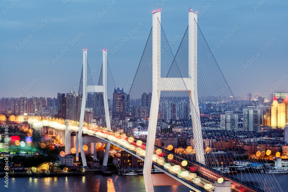 Naklejka premium Nanpu Bridge and Overpass, Shanghai